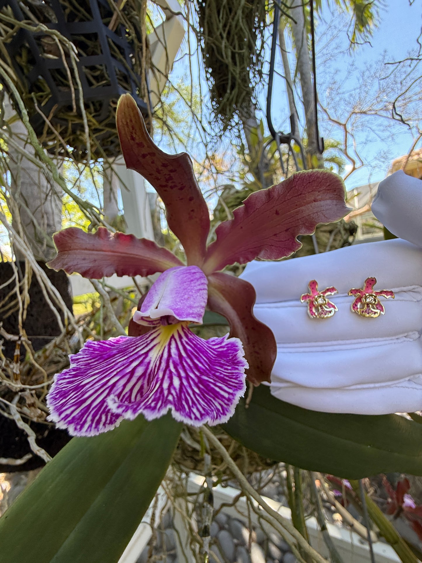 My Martin Collection: Pink Spotted Cattleya Orchid Earrings - Orchidique