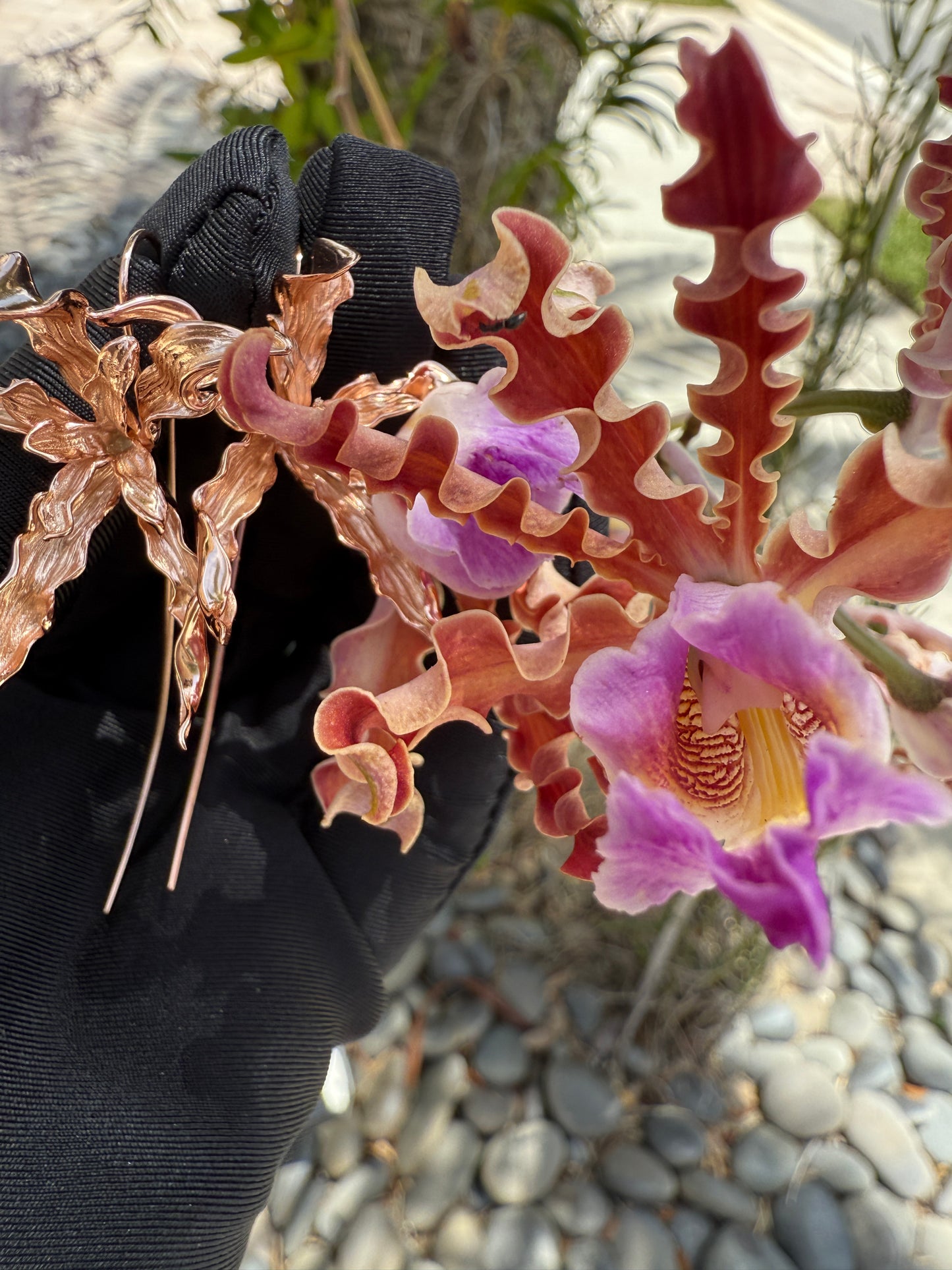 Meticulous: Schomburgkia Rose Gold Orchid Flower Dangle Earrings