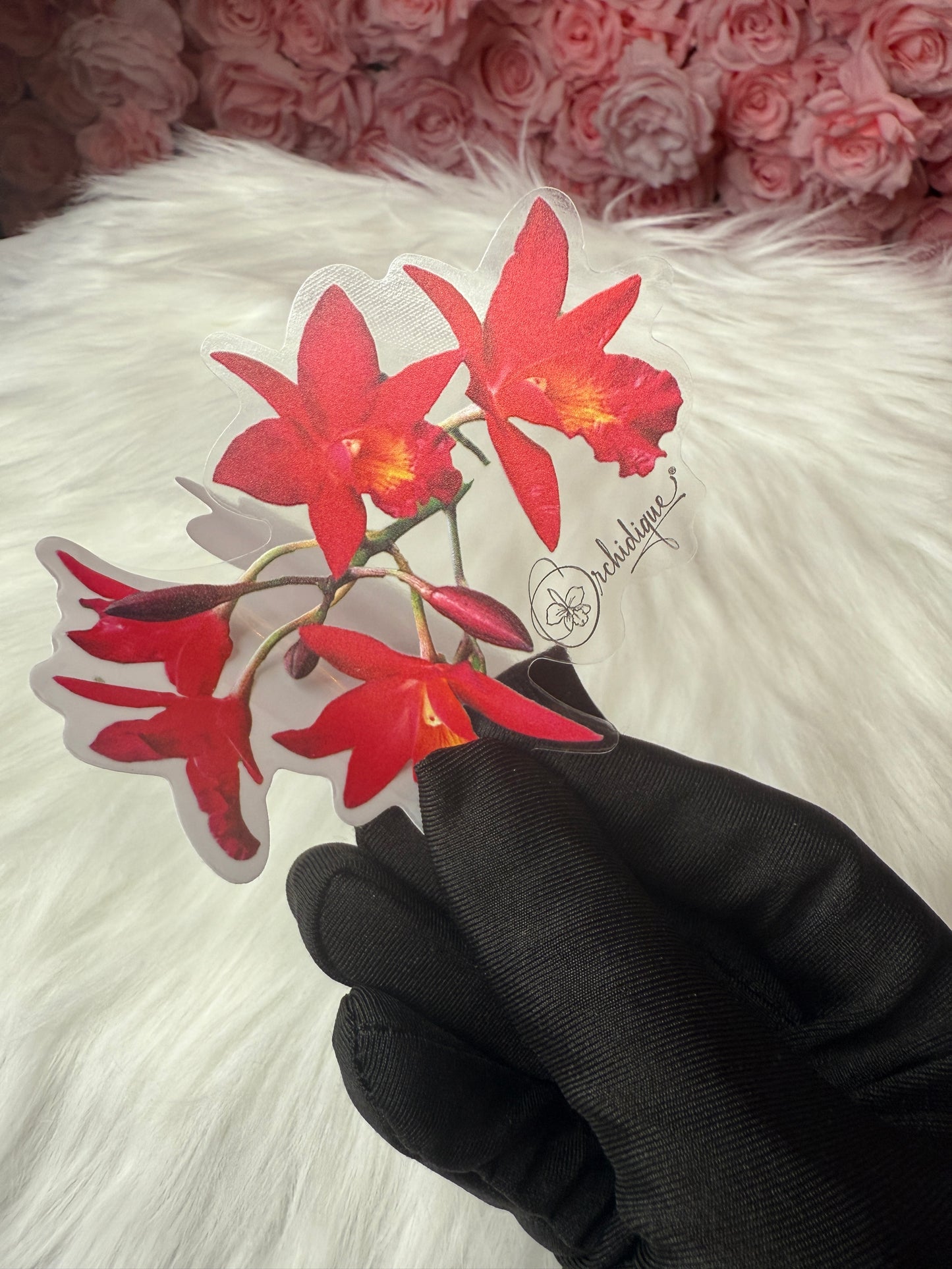 Cattleyatonya Why Not Orchid • Flower Sticker