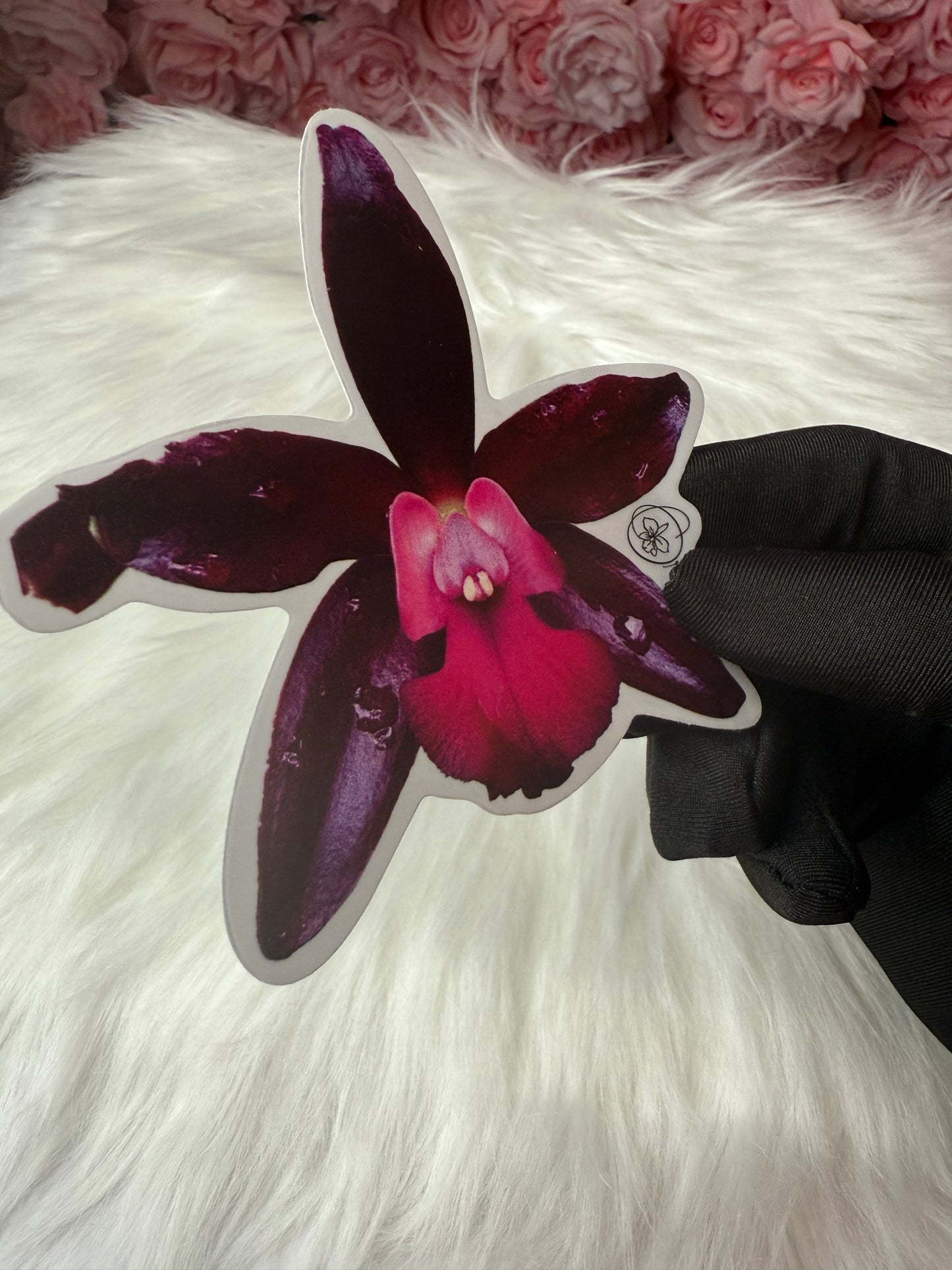 Cattlianthe Sagarik Wax Orchid Flower Sticker