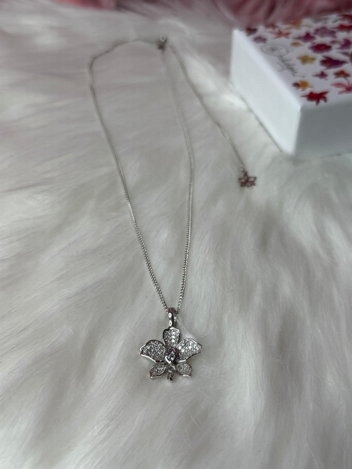 Fairy Dream Cattleya Collection: White Gold Set - Orchidique