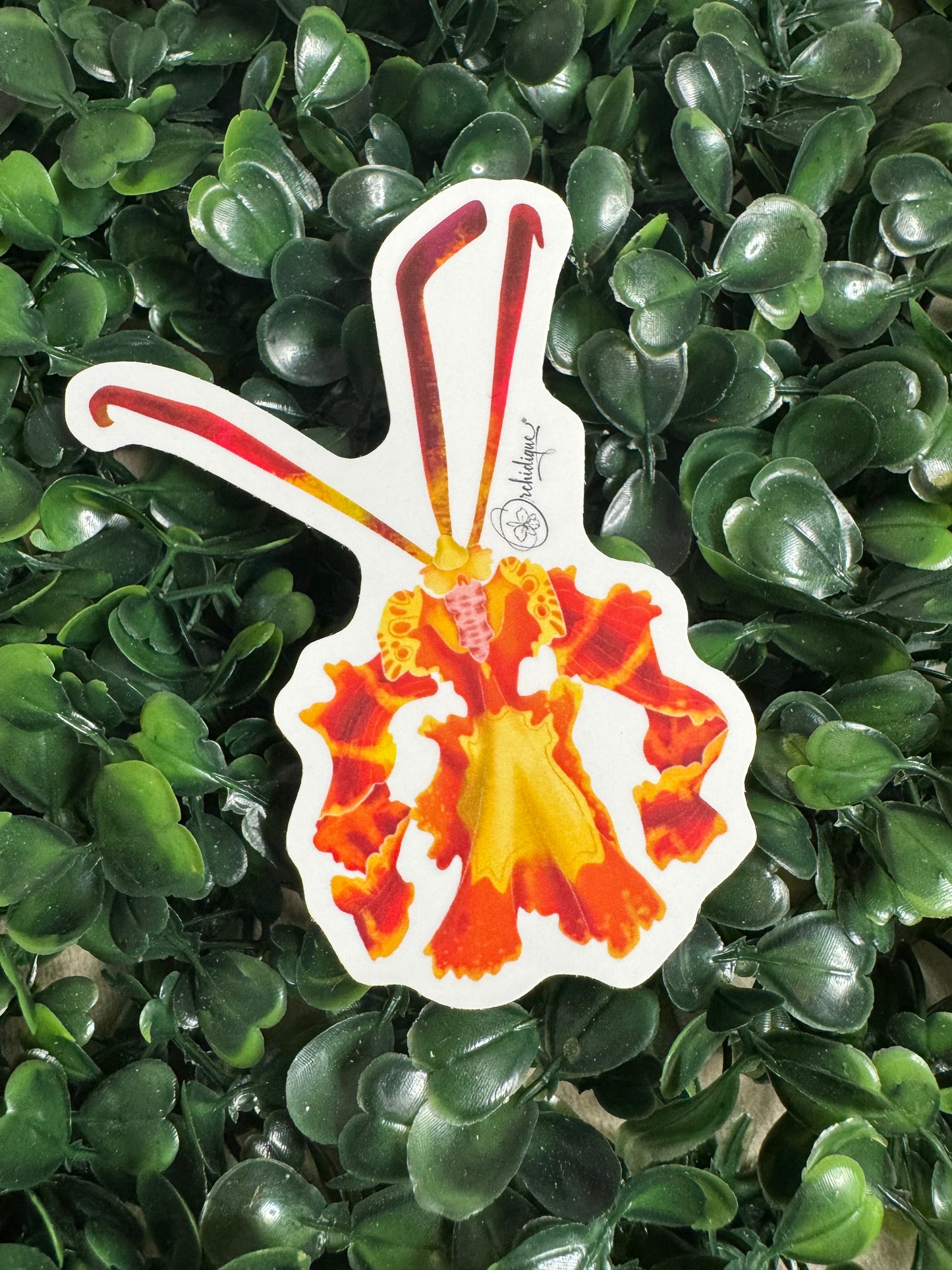 Psychopsis Mariposa Orchid Sticker