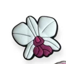Cattleya Orchid Shoe Charms for Crocs - Orchidique