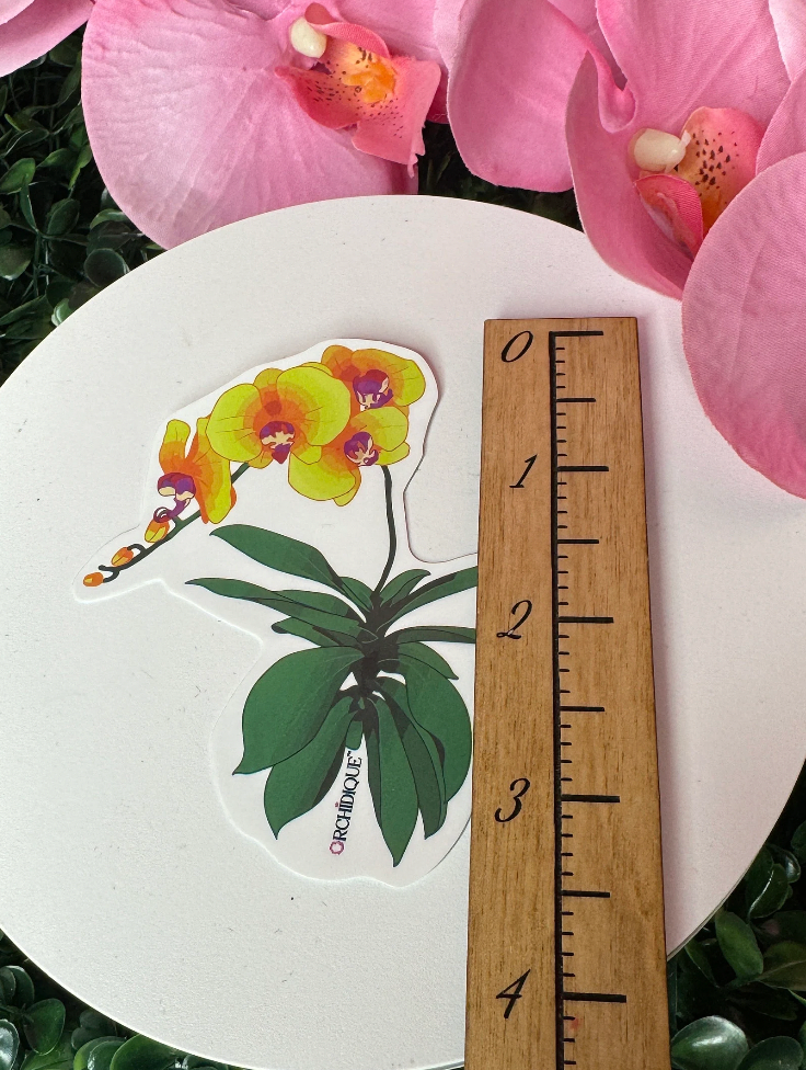 Yellow Orchid Phal Sticker