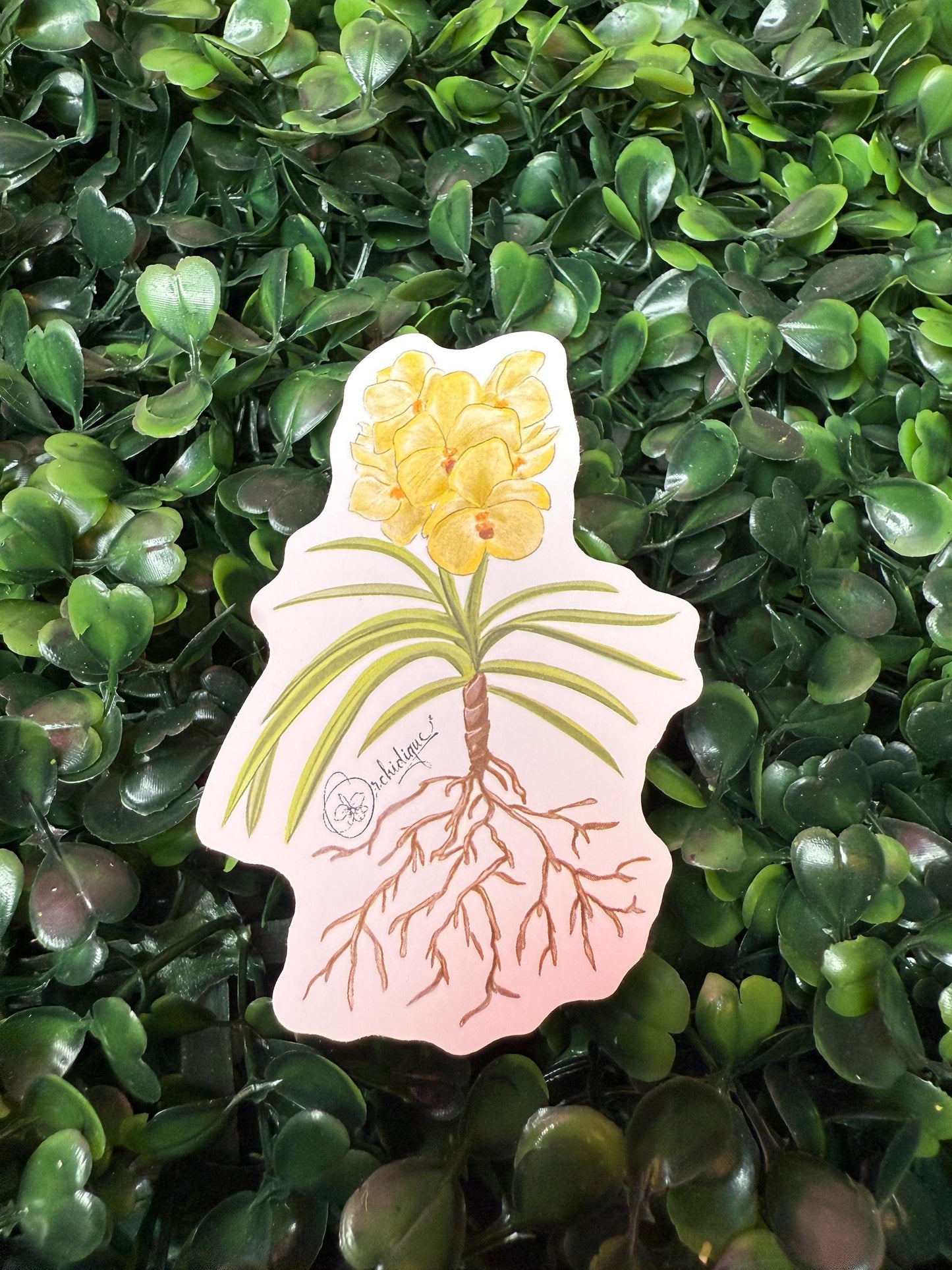 Orchid Sticker • Vanda Marlene Ruiz • Yellow Vanda • Floral Sticker • Waterproof • Laptop Decal • Plant Lover Gift