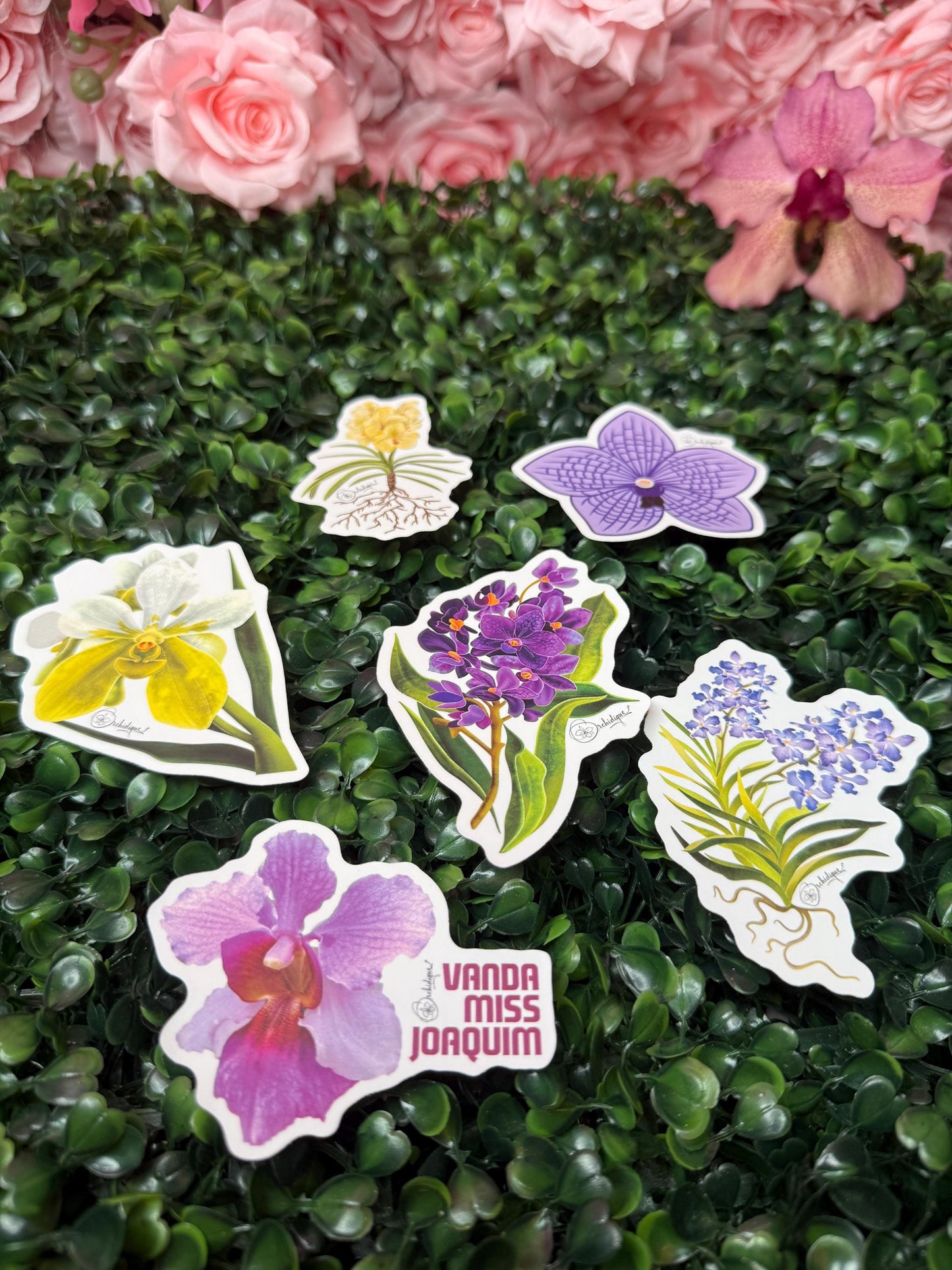Orchid Sticker • Vanda Marlene Ruiz • Yellow Vanda • Floral Sticker • Waterproof • Laptop Decal • Plant Lover Gift