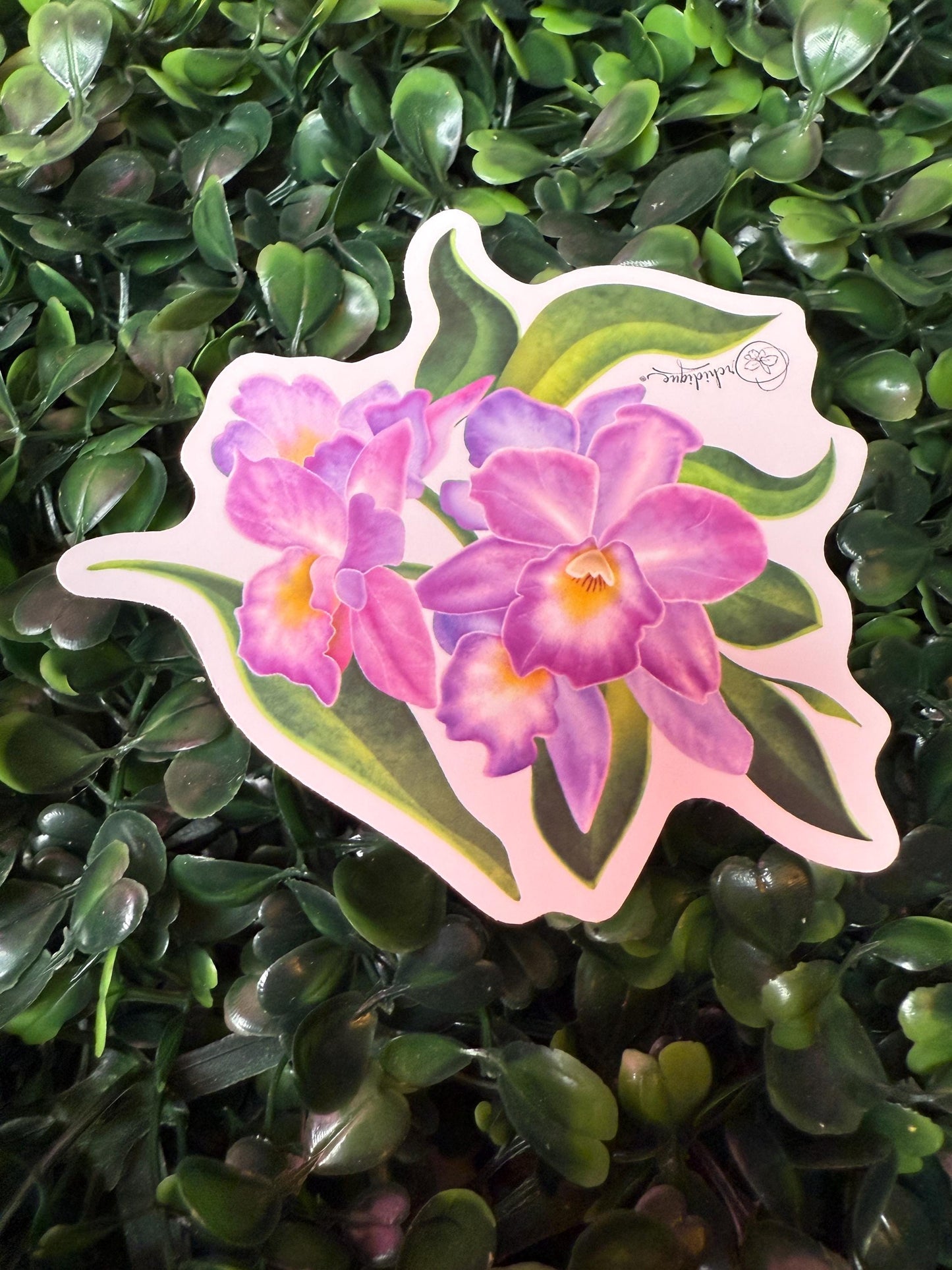 Orchid Sticker • Cattleya Orchid • Floral Sticker • Waterproof • Laptop Decal • Plant Lover Gift