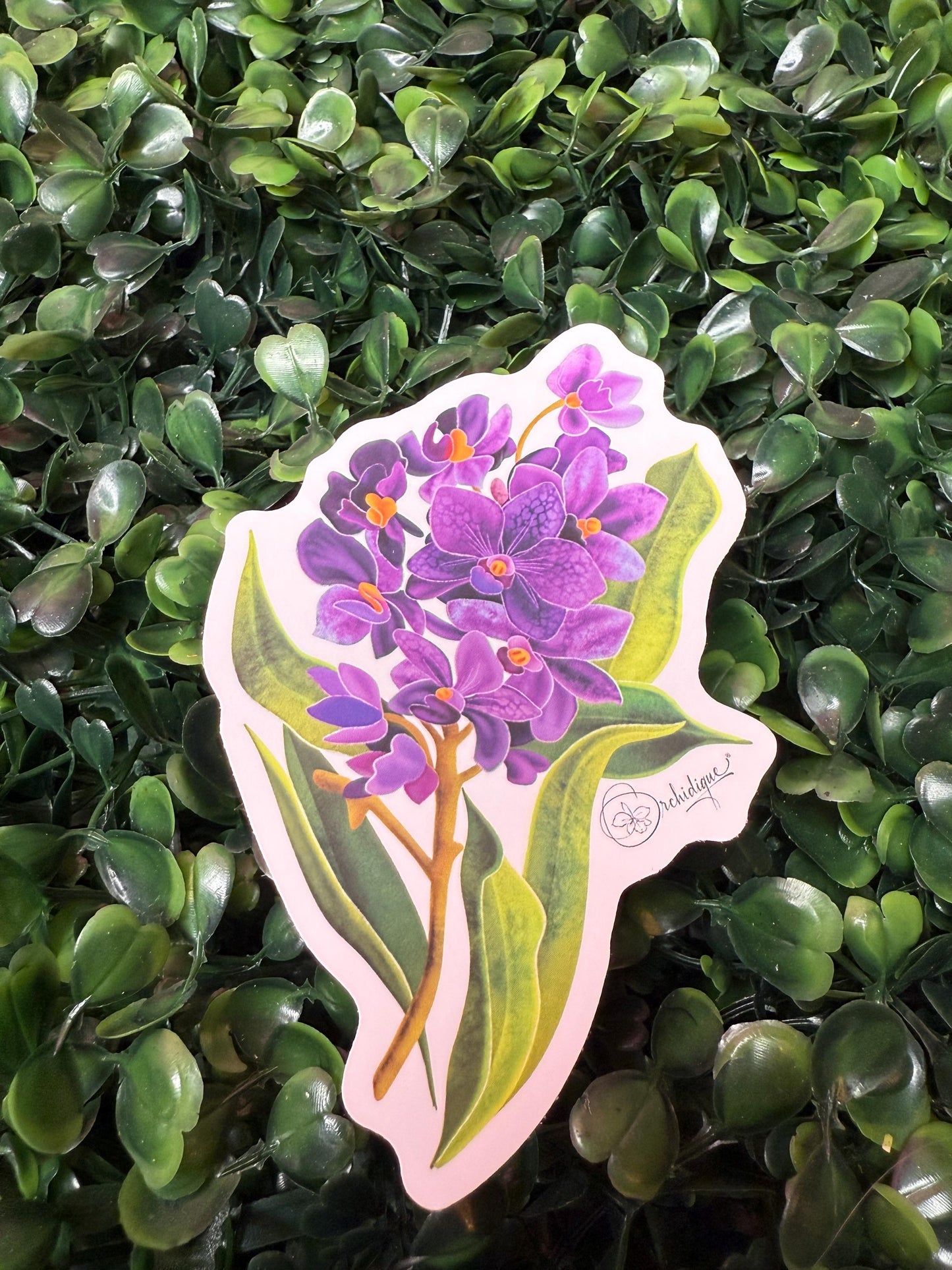 Orchid Sticker • Vanda Orchid • Purple Floral Sticker • Waterproof • Laptop Decal • Plant Lover Gift