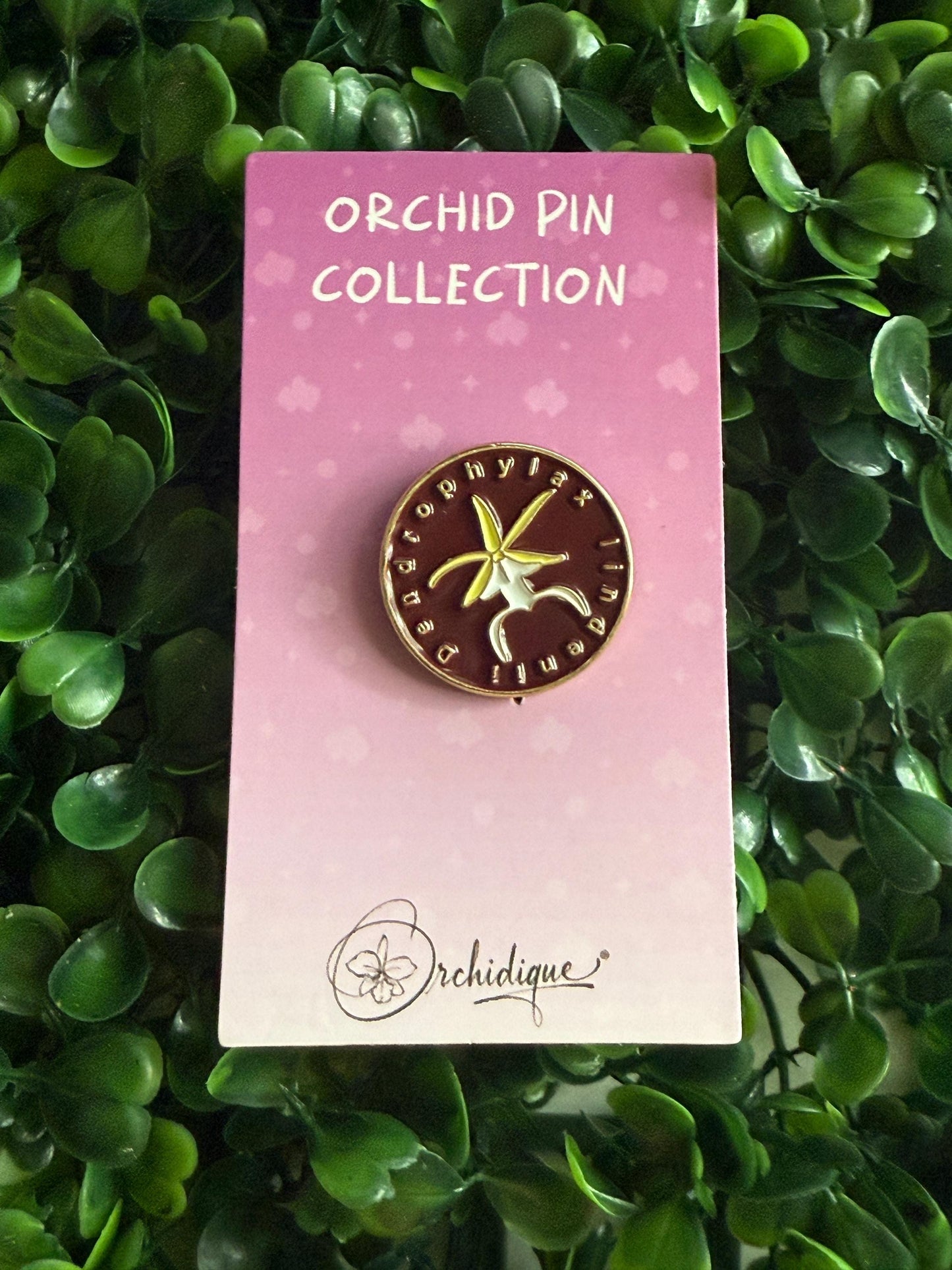 Plant Enamel Pin- Dendrophylax Lindenii- inspired Orchid Flower Enamel Pin β’ Ghost Floral Pin Collector Item β’ Orchid Pins and Badges