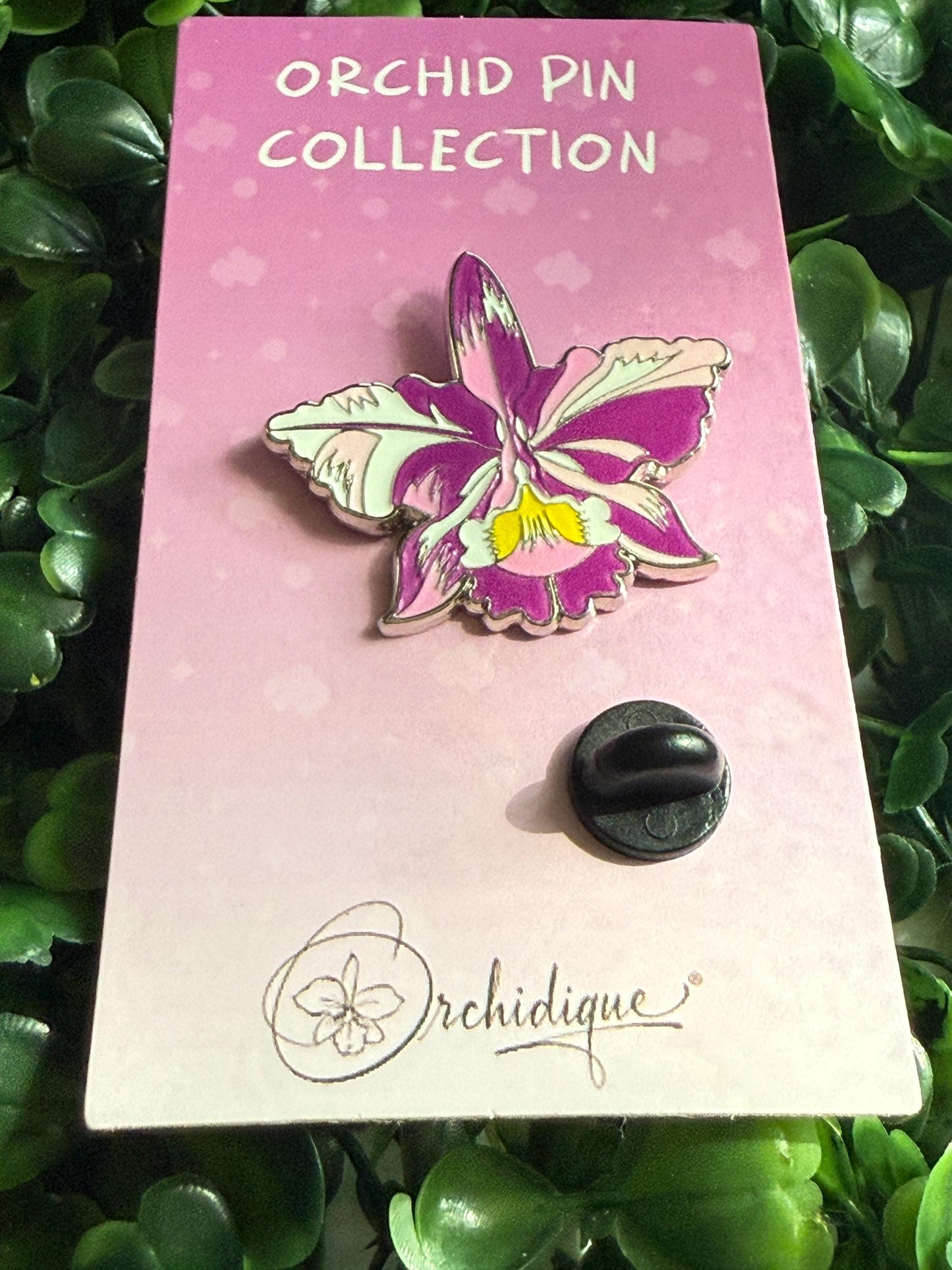 Plant Enamel Pin- Cattleya Rainbow Orchid Flower Enamel Pin • Floral Pin Collector Item • Orchid Charm • Pins and Badges