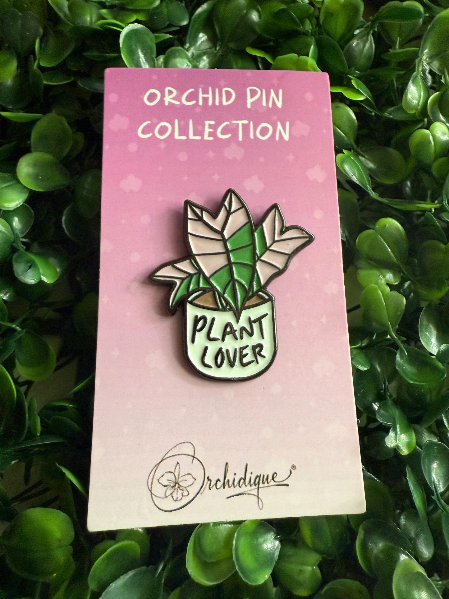 Plant Lover Pin- Alocasia Pink Nobilis Flower Enamel Pin β’ Floral Pin Collector Item β’ Orchid Charm β’ Pins and Badges