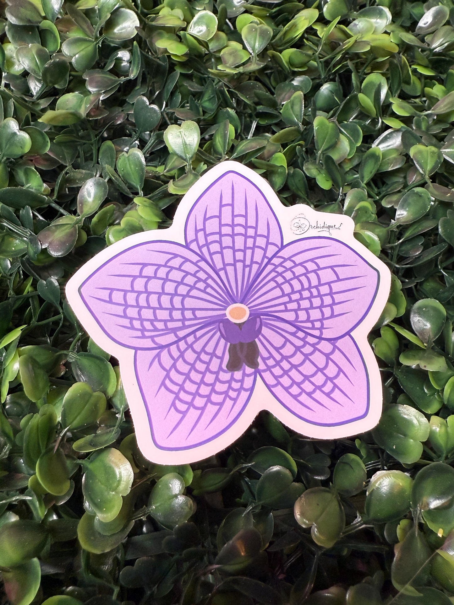 Orchid Sticker • Vanda Orchid • Floral Sticker • Waterproof • Laptop Decal • Plant Lover Gift