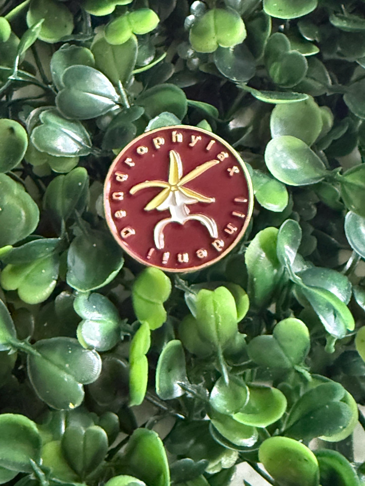Plant Enamel Pin- Dendrophylax Lindenii- inspired Orchid Flower Enamel Pin β’ Ghost Floral Pin Collector Item β’ Orchid Pins and Badges