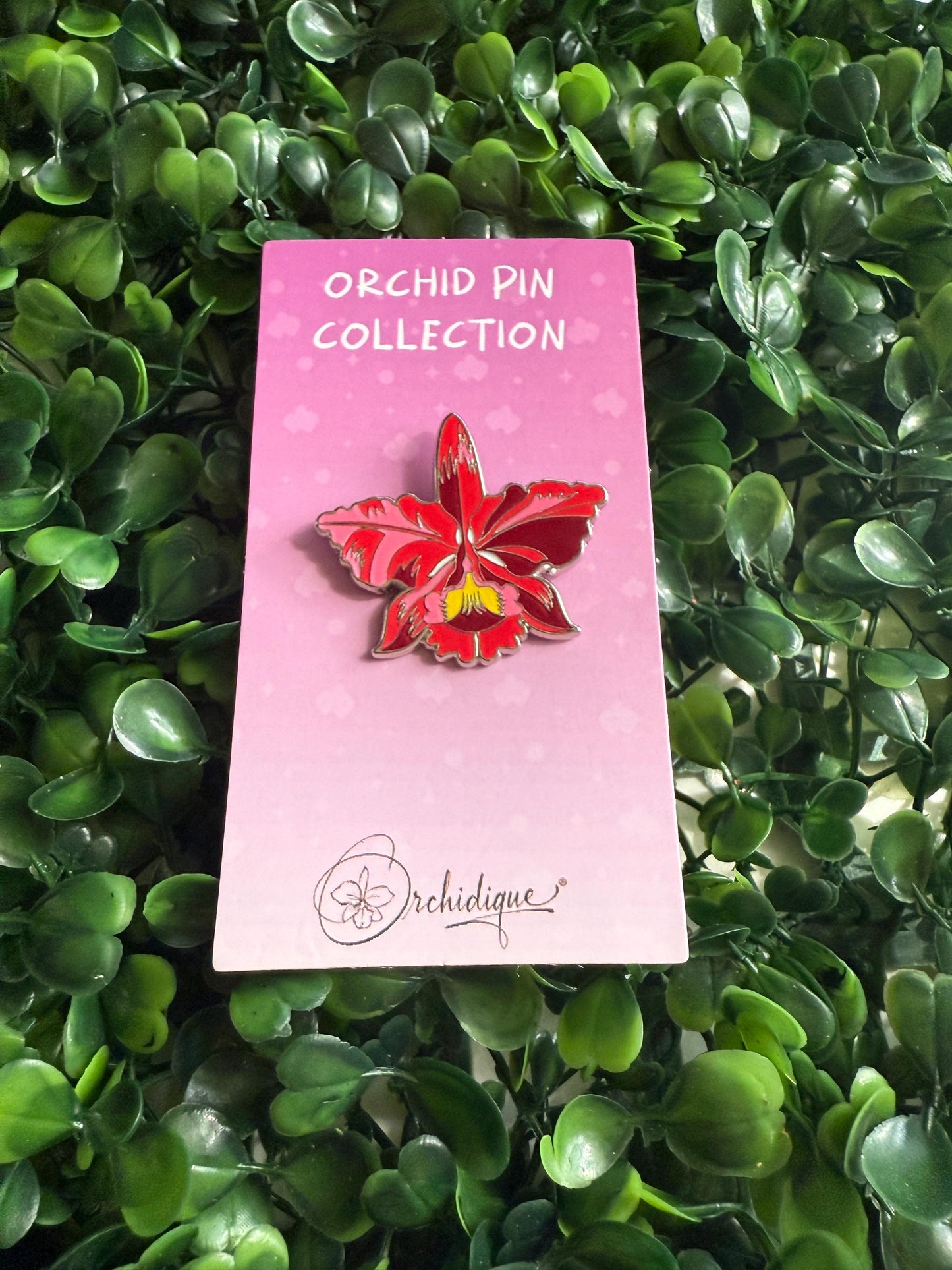 Plant Enamel Pin- Cattleya Rainbow Orchid Flower Enamel Pin • Floral Pin Collector Item • Orchid Charm • Pins and Badges