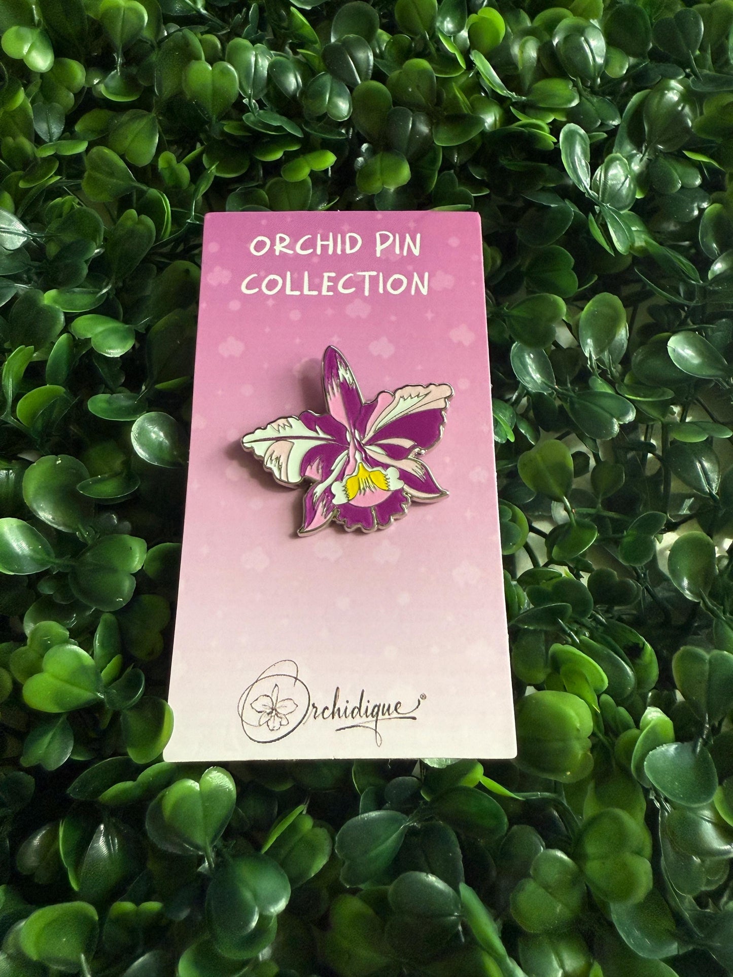 Plant Enamel Pin- Cattleya Rainbow Orchid Flower Enamel Pin • Floral Pin Collector Item • Orchid Charm • Pins and Badges