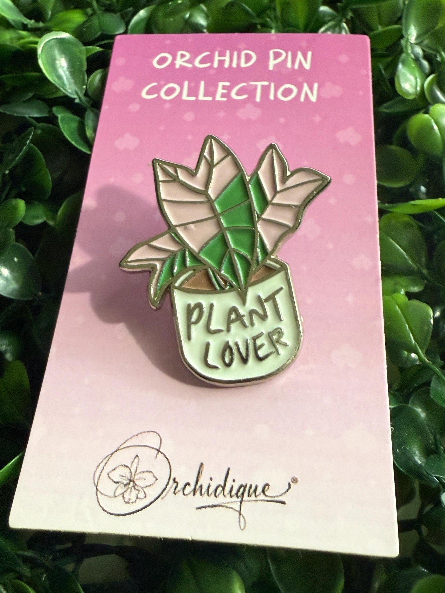 Plant Lover Pin- Alocasia Pink Nobilis Flower Enamel Pin β’ Floral Pin Collector Item β’ Orchid Charm β’ Pins and Badges