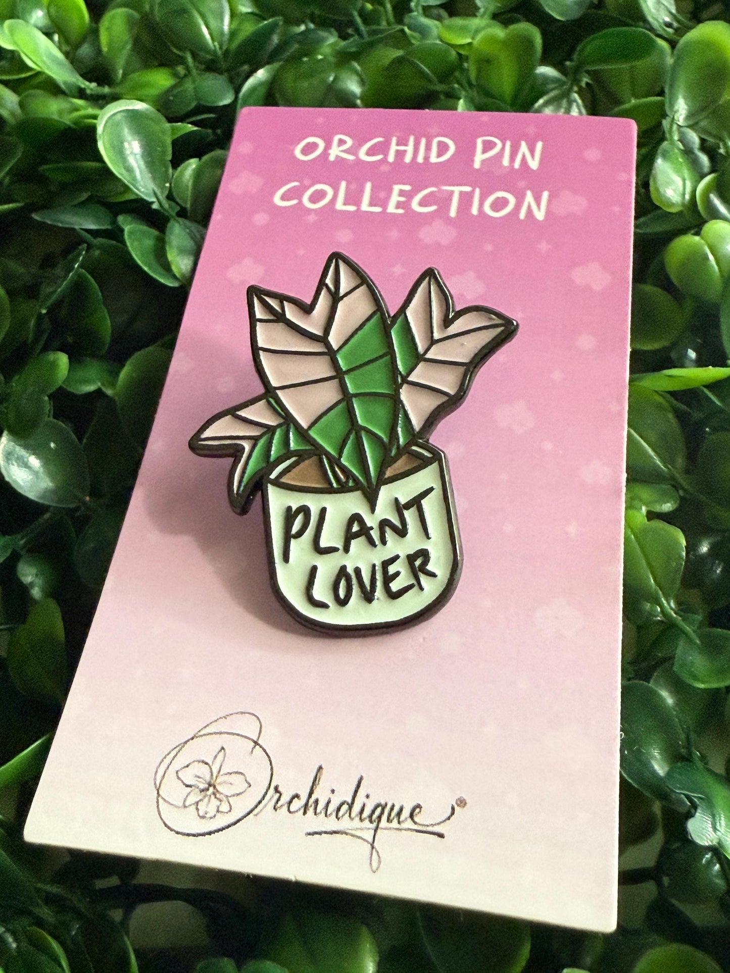 Plant Lover Pin- Alocasia Pink Nobilis Flower Enamel Pin β’ Floral Pin Collector Item β’ Orchid Charm β’ Pins and Badges