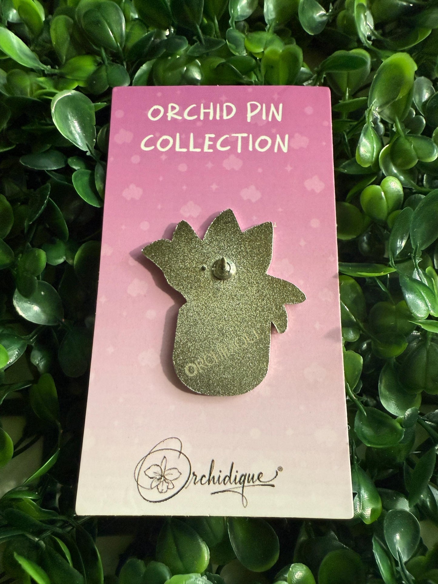 Plant Lover Pin- Alocasia Pink Nobilis Flower Enamel Pin β’ Floral Pin Collector Item β’ Orchid Charm β’ Pins and Badges
