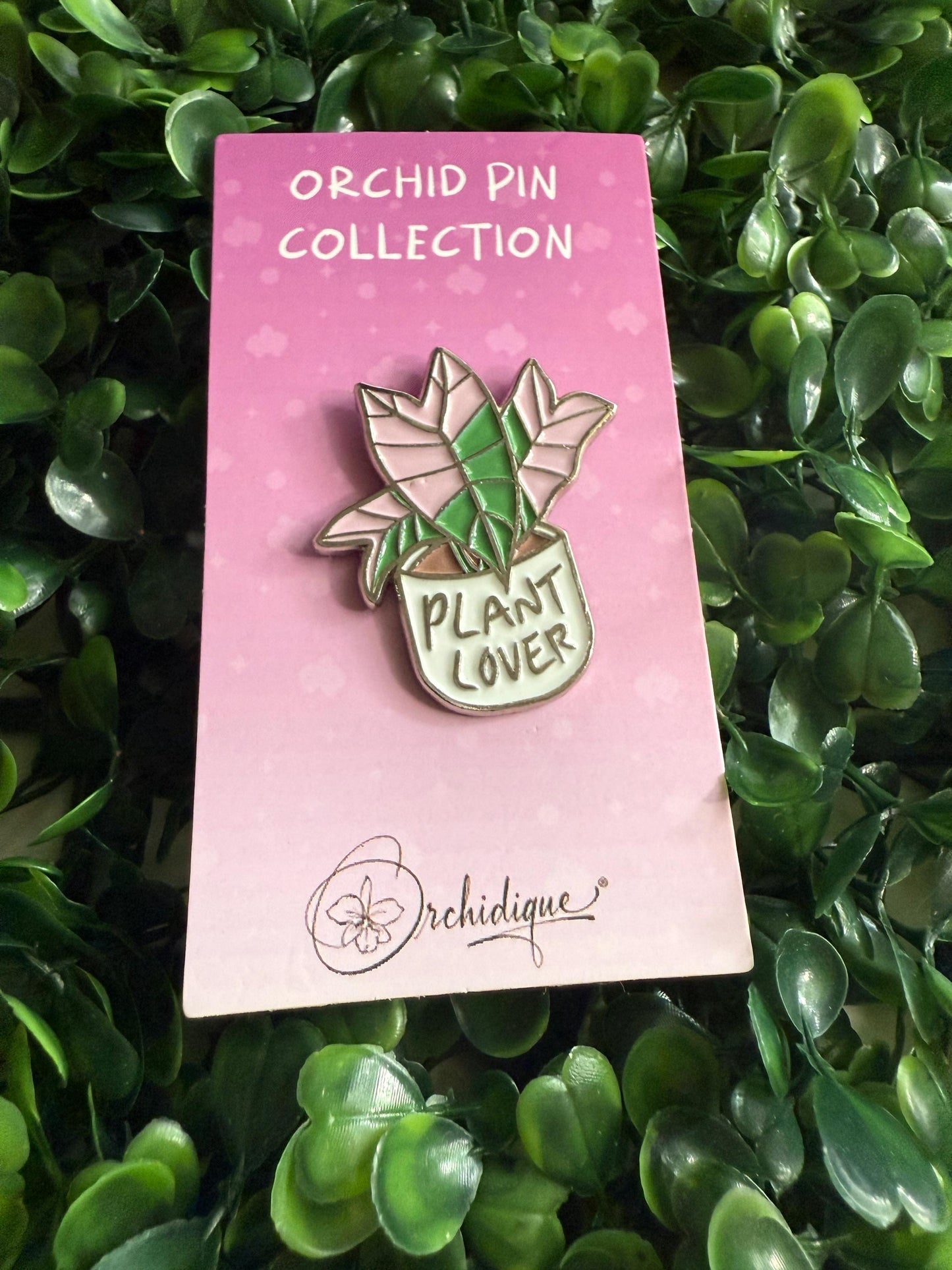 Plant Lover Pin- Alocasia Pink Nobilis Flower Enamel Pin β’ Floral Pin Collector Item β’ Orchid Charm β’ Pins and Badges