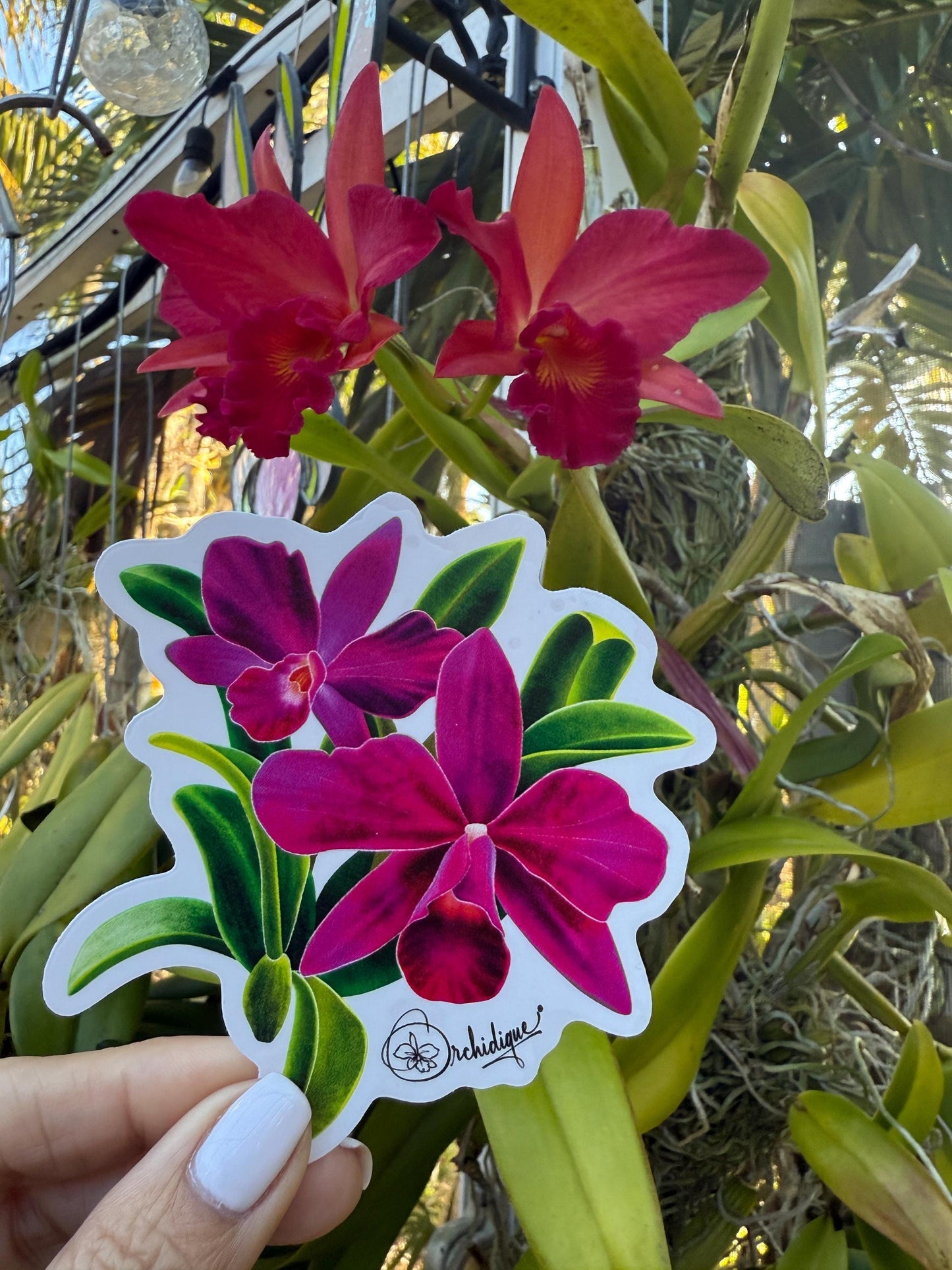 Orchid Flowers in a Vase Sticker • Orchid Lover Gift