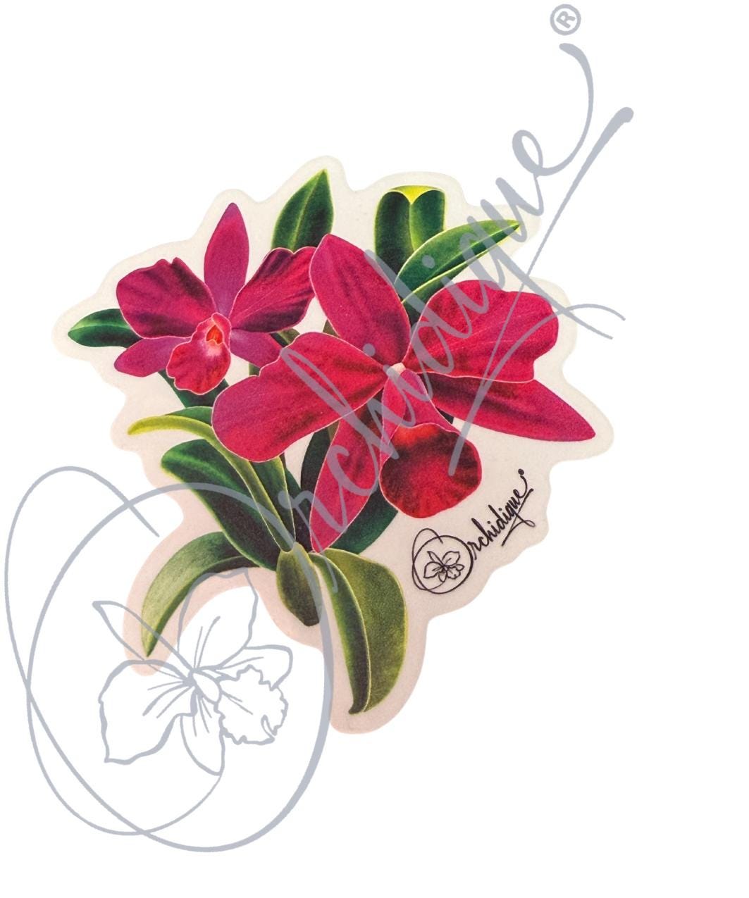 Orchid Flowers in a Vase Sticker • Orchid Lover Gift