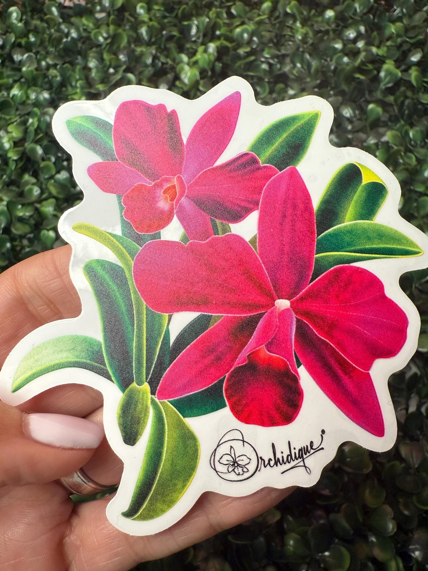 Orchid Flowers in a Vase Sticker • Orchid Lover Gift