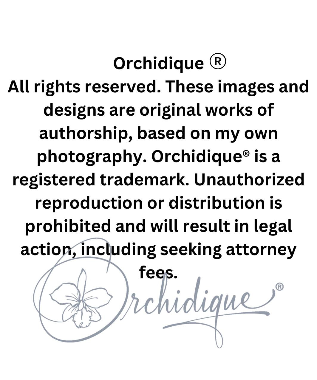 Orchid Brassavola Sticker • Orchid Lover Gift