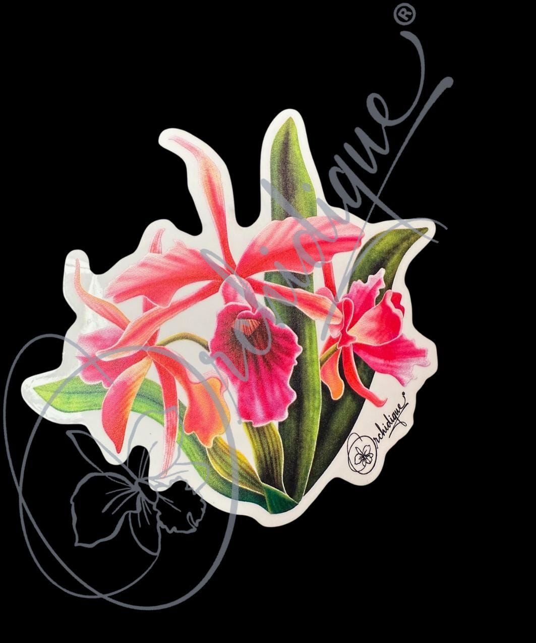 Orchid Tenebrosa Cattleya Sticker • Orchid Lover Gift