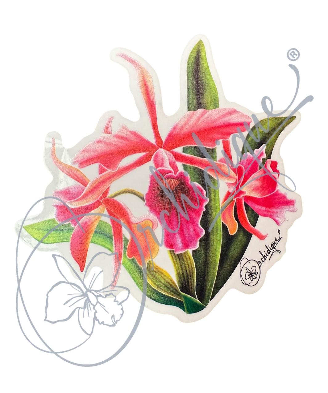 Orchid Tenebrosa Cattleya Sticker • Orchid Lover Gift