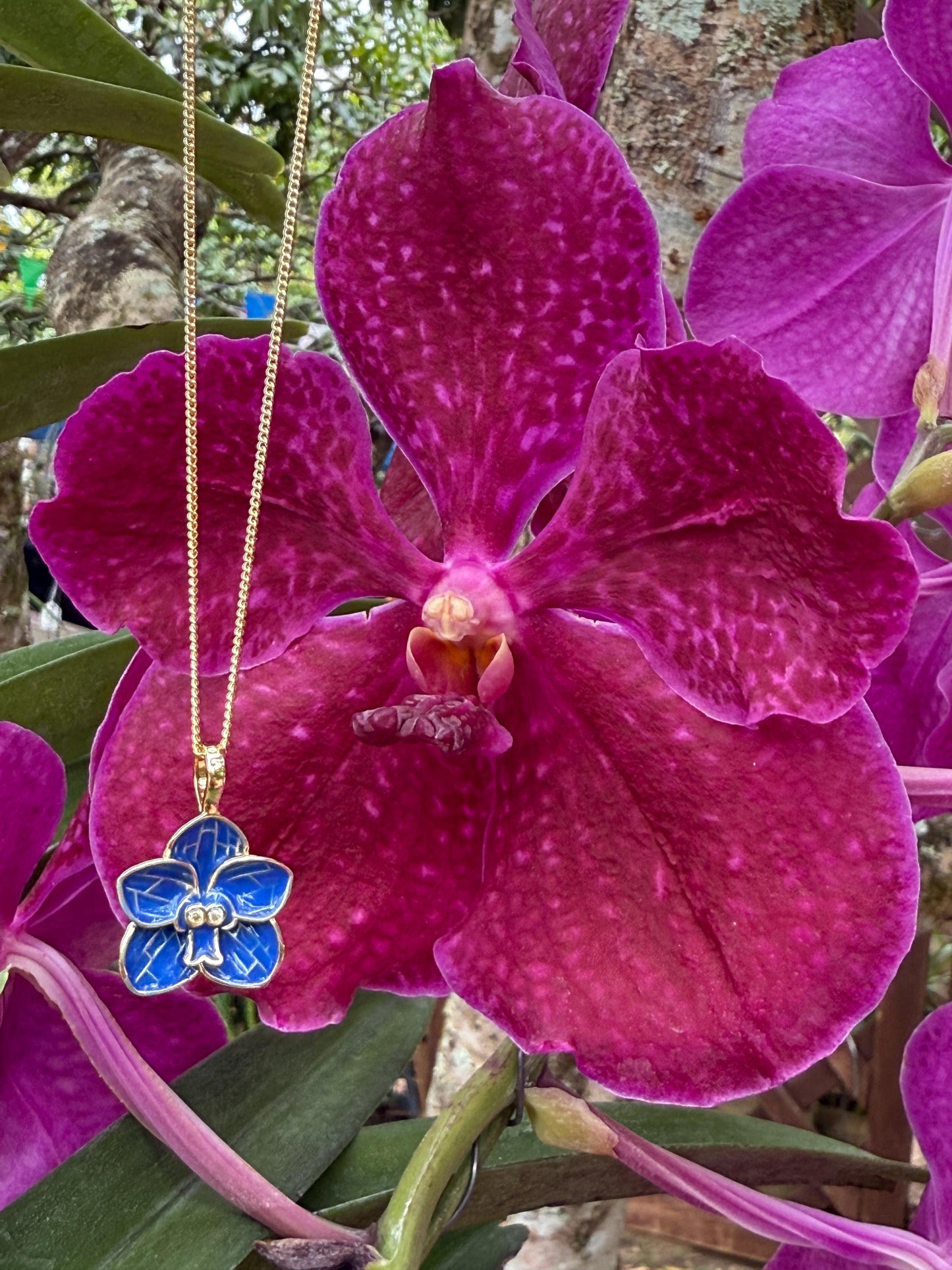 Blue or Purple Orchid Vanda Flower Jewelry โข Vanda Bloomers Collection โข Earrings, Pendant or Ring Gift for Her