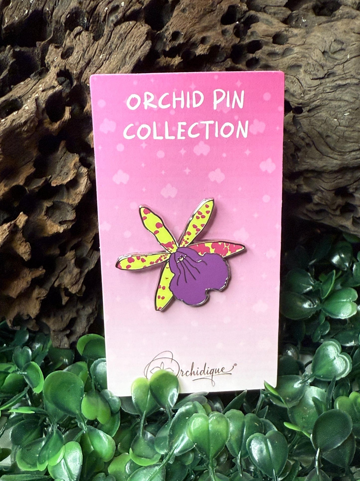 BC Hippoclamia Enamel Pin- Orchid Flower Enamel Pin β’ Flower Orchid Collector Item