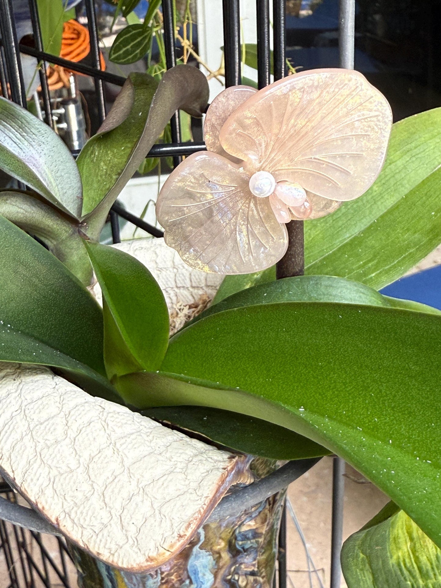 Acetate Orchid Hair Clip Phalaenopsis Hair Barrette • White Flower Hair Accessory • Unique Botanical Clip