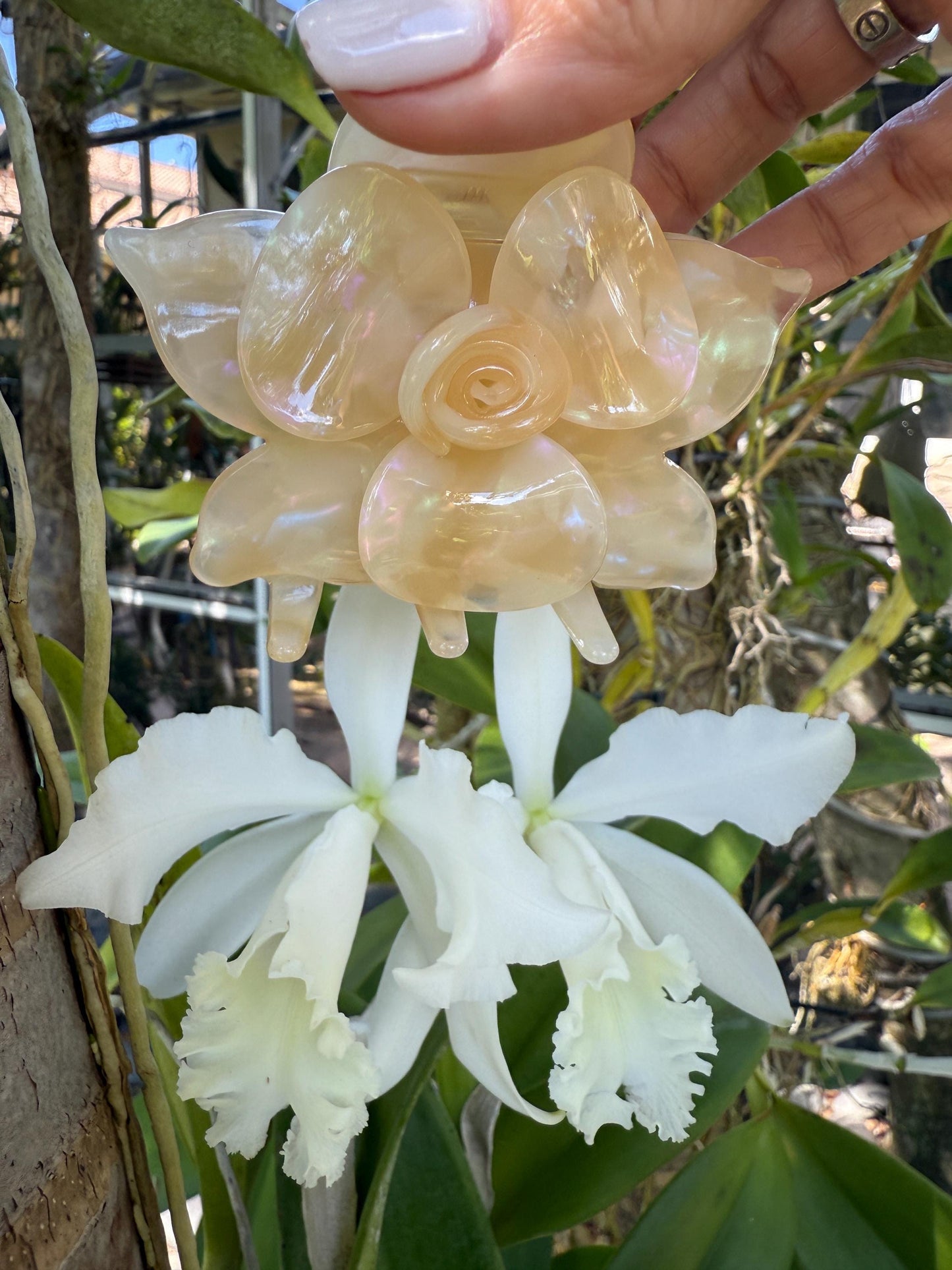 Orchid Hair Claw • Nude Orchid Hair Claw Clip • Wedding Hair Piece • Tropical Orchid Acetate Claw Clip