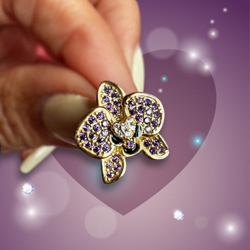 The Phalaenopsis Orchid Collection