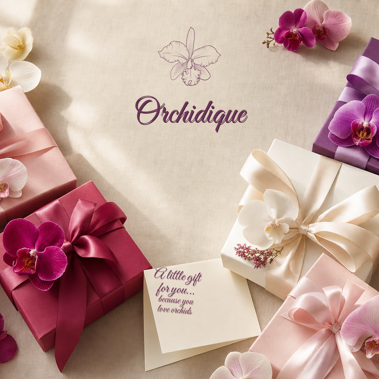 Orchidique gift collection — a little gift for you, because you love orchids