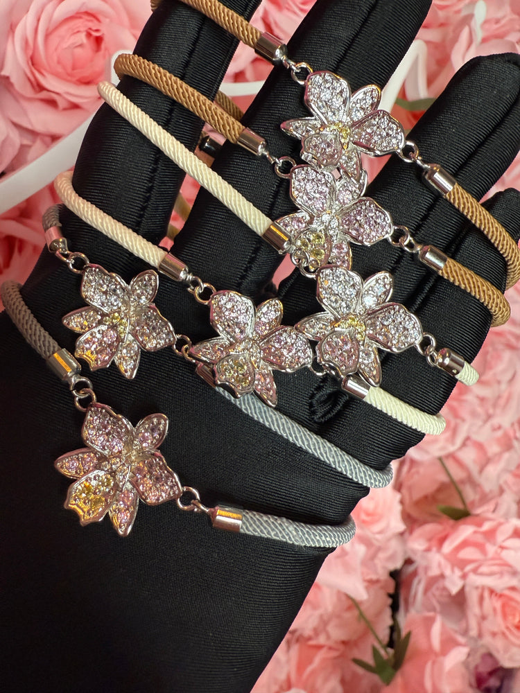 Orchid Sneak Peek: Coming Soon!