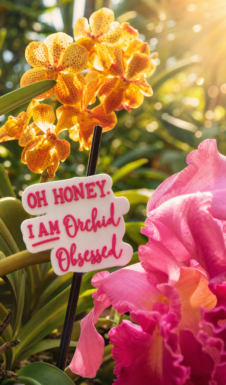 Orchid Obsessed plant pick between a golden Vanda orchid and a hot pink Cattleya in Marly's Florida greenhouse — Orchidique Summer Charm Blowout featuring final charms, pins, keychains, and orchid accessories in summer prices
