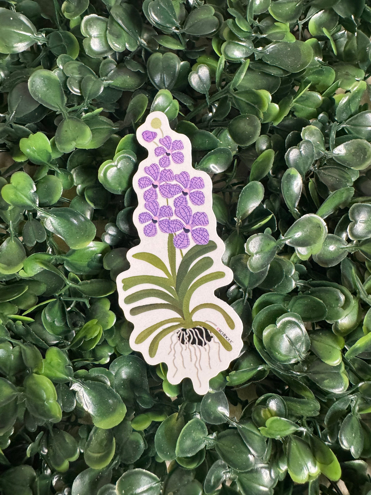Mokara Vanda Orchid sticker, purple, included in the 10-pack