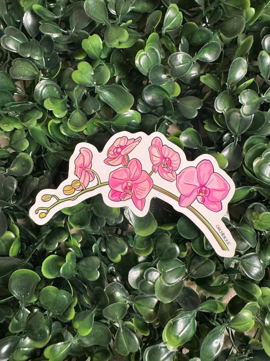 Pink Phalaenopsis Orchid sticker, included in the 10-pack