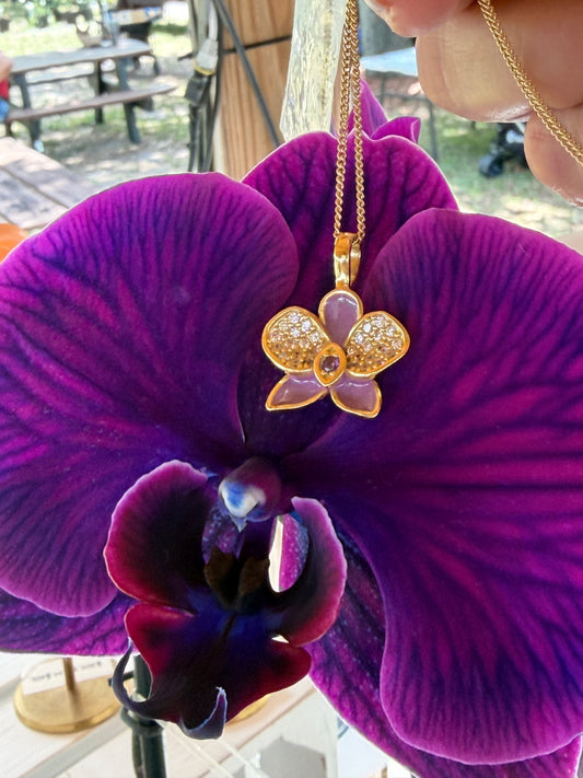Whispers Glow Collection: Purple Phalaenopsis Orchid Set - Orchidique