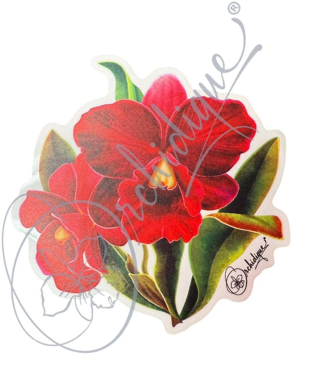 Red Cattleya Orchid sticker, included in the 10-pack