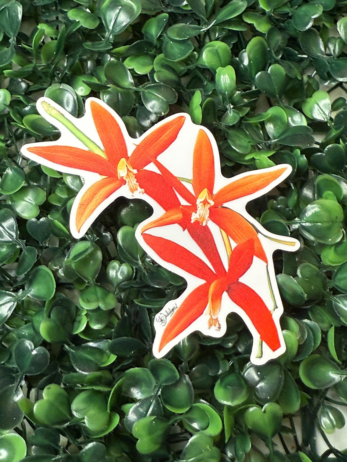 Laelia Xanthina Orchid sticker, included in the 10-pack