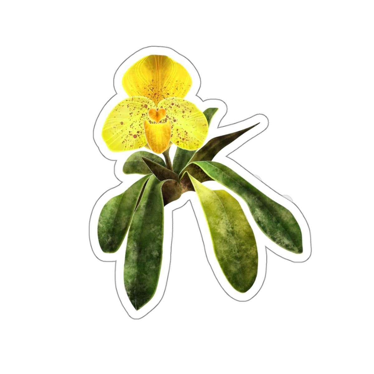 Paphiopedilum Concolor Orchid sticker, included in the 10-pack