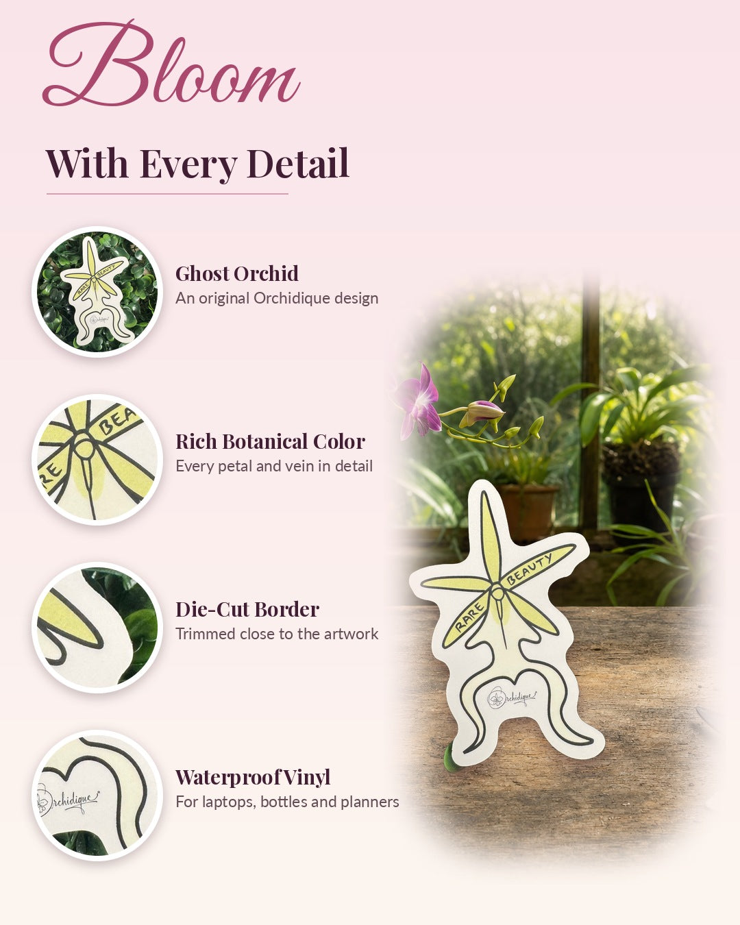 Ghost Orchid sticker, waterproof vinyl decal, detail callouts