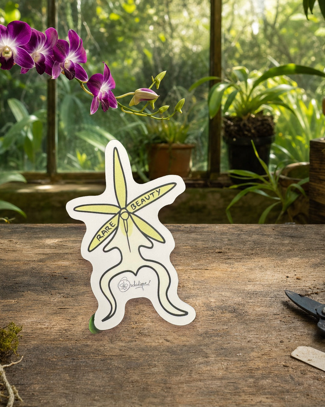 Ghost Orchid sticker, waterproof vinyl decal, staged photo