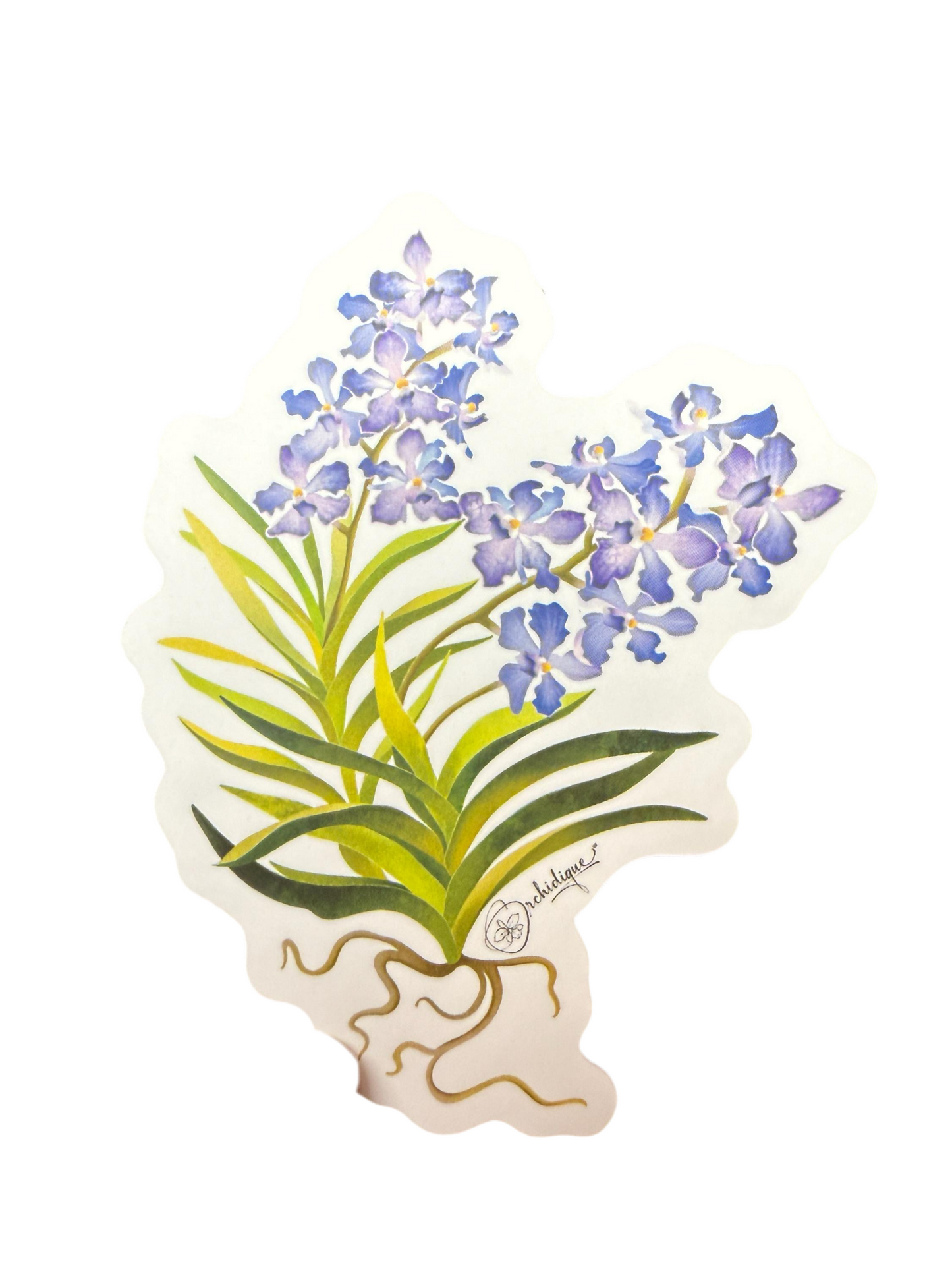 Orchid Sticker • Vanda Orchid • Vanda Violeta Floral Sticker • Waterproof • Laptop Decal • Plant Lover Gift