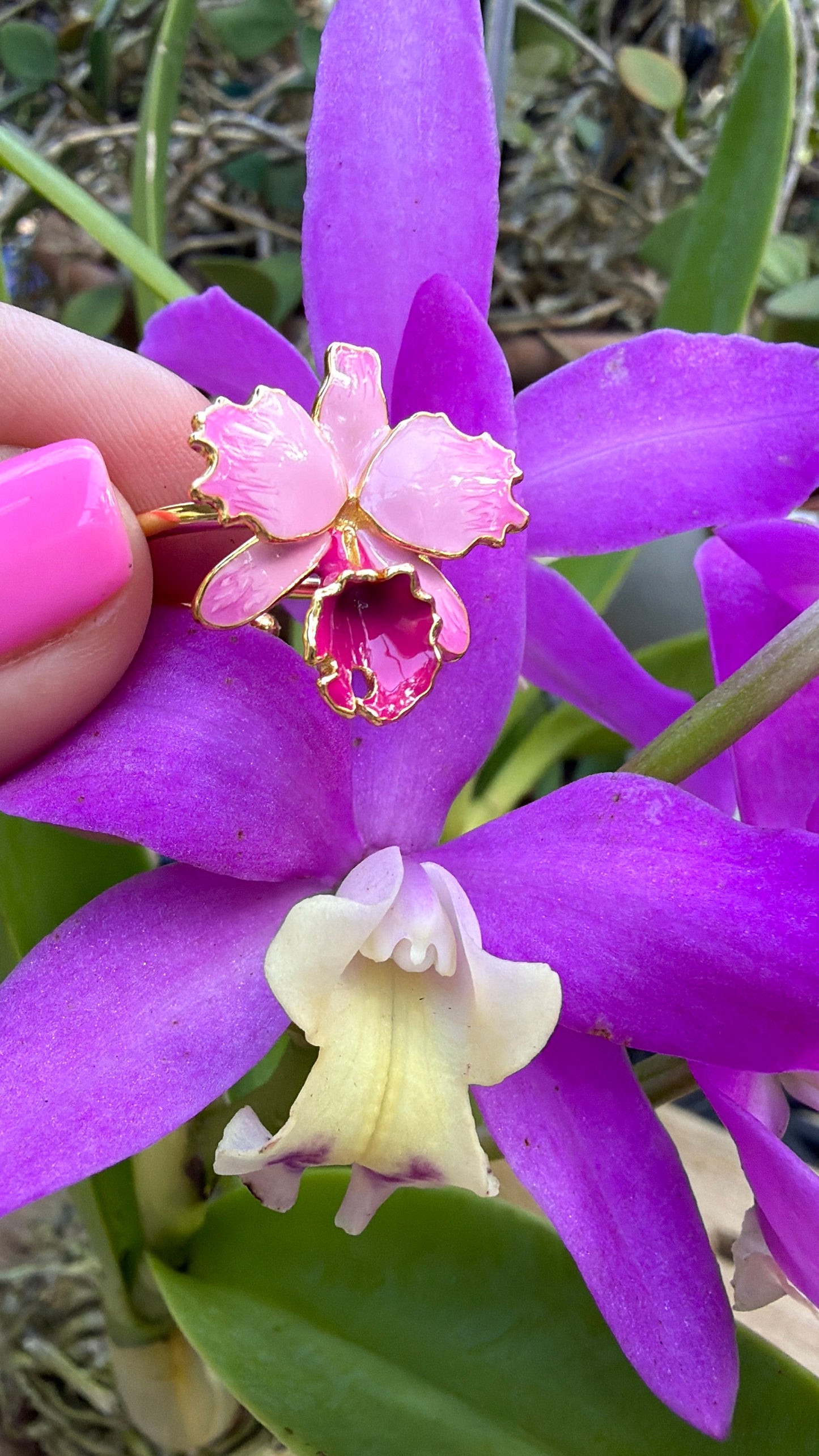 Drama Collection:  Pink Splash Cattleya Dowiana Orchid Statement Ring