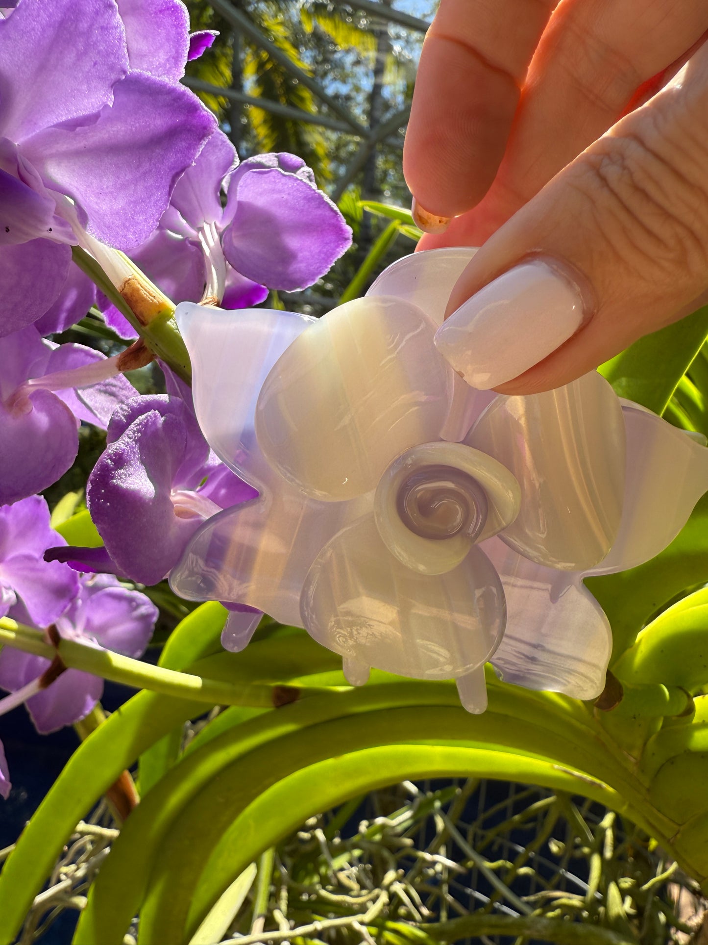 Orchid Hair Claw • Purple Orchid Hair Claw Clip