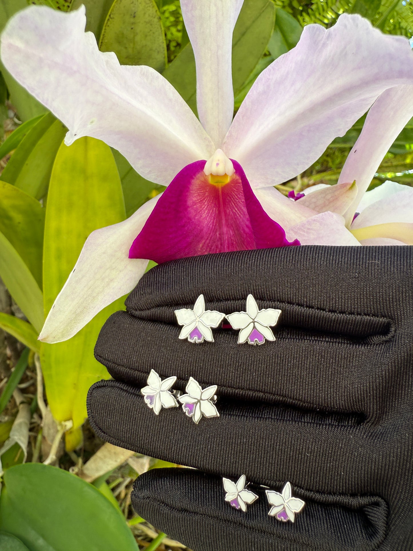 Signature White Gold Cattleya Studs: The Orchid with a Purple Heart Labellum