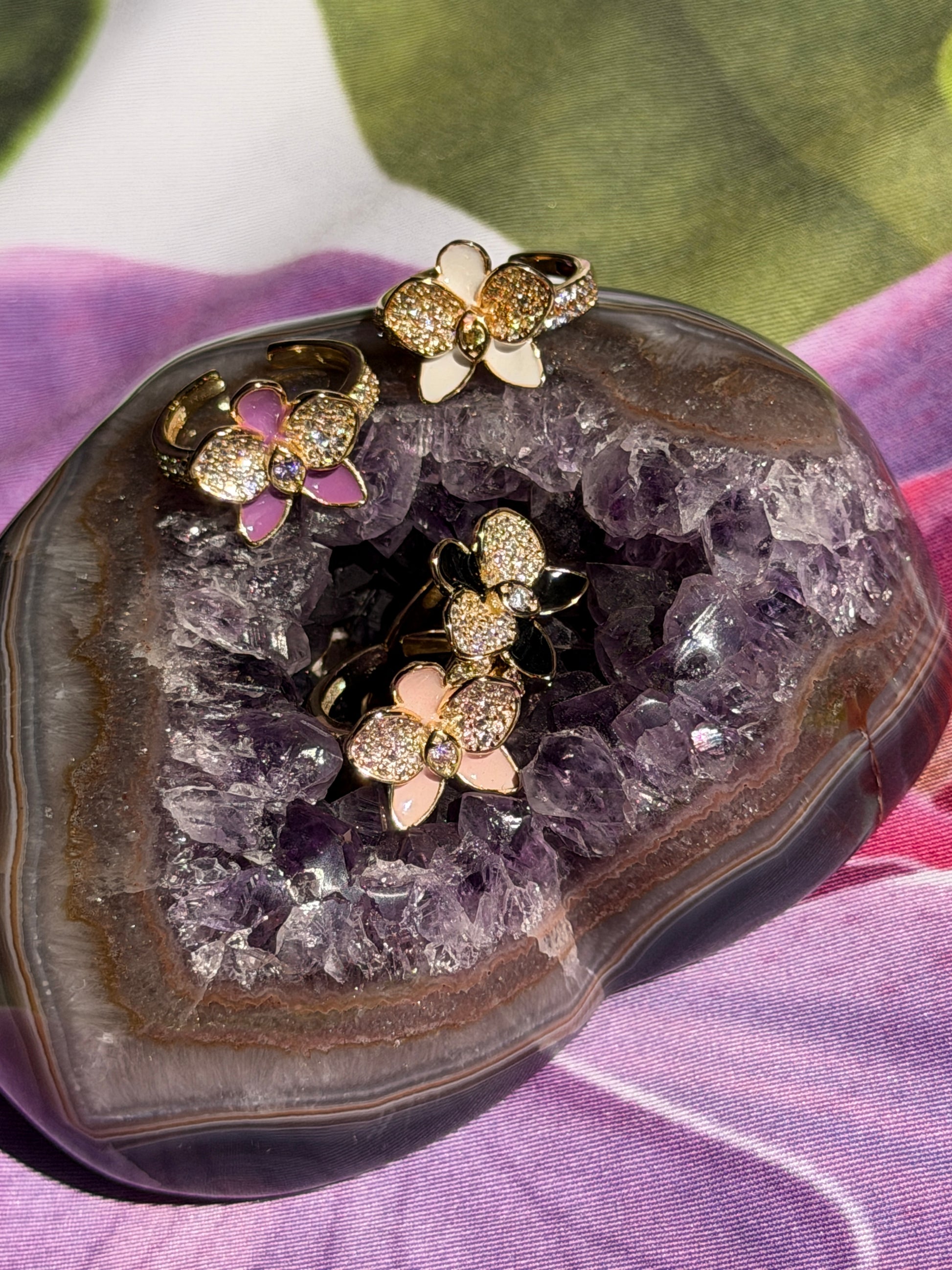 Whispers Glow Collection : White - Yellow Zircons Phalaenopsis Orchid Set - Orchidique